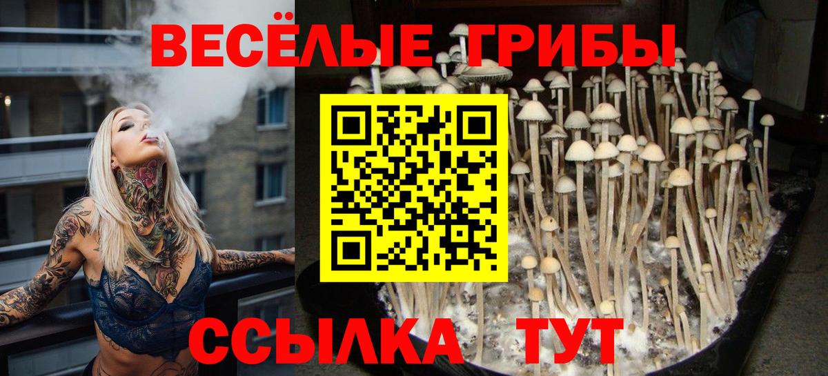 Галлюциногенные грибы MAGIC MUSHROOMS Сухой Лог
