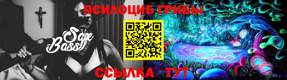 Сухой Лог  Галлюциногенные грибы Cubensis  Вход с VPN 